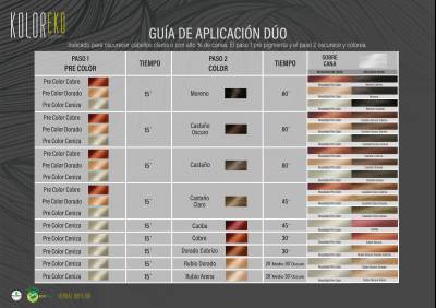 Guía de aplicación